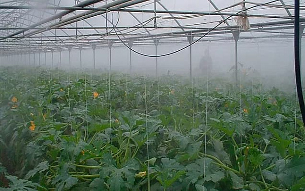 Туманообразование в тепличном хозяйстве