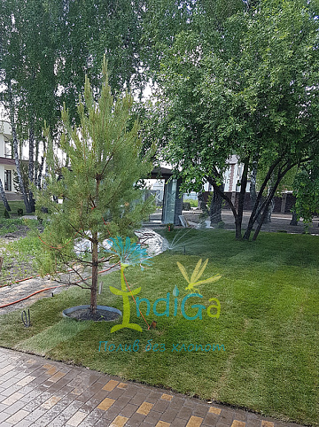 Система автоматического полива в поселке Кольцово, НСО