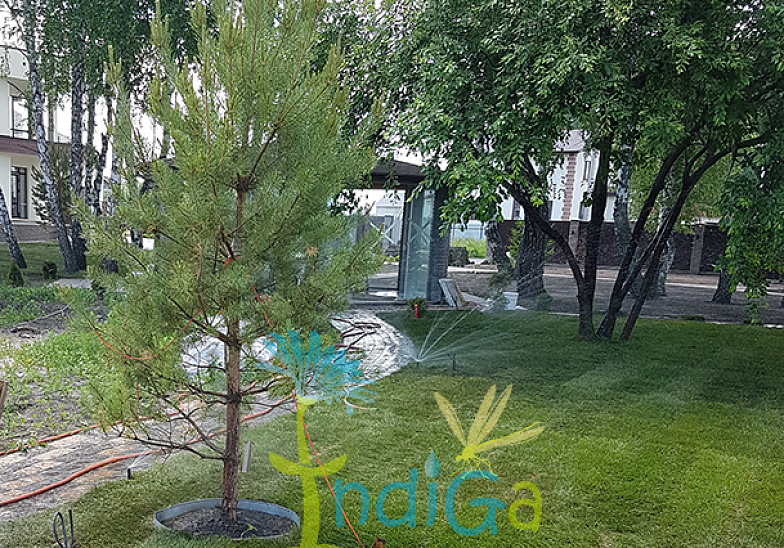 Система автоматического полива в поселке Кольцово, НСО